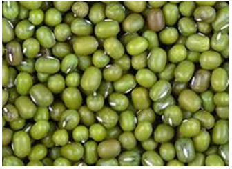 Green Bean (Mung Bean ) Whole 1kg 绿豆