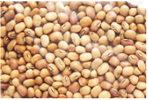 Brown Bean (Cowpea) 1kg 赤豆