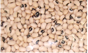 White Bean (BlackEyes Beans) 1kg 白眉豆