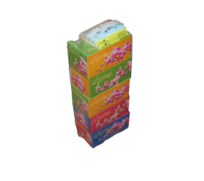 Facial Tissue Paper (Box) 5 Boxes - 200sx2ply 纸巾(盒)