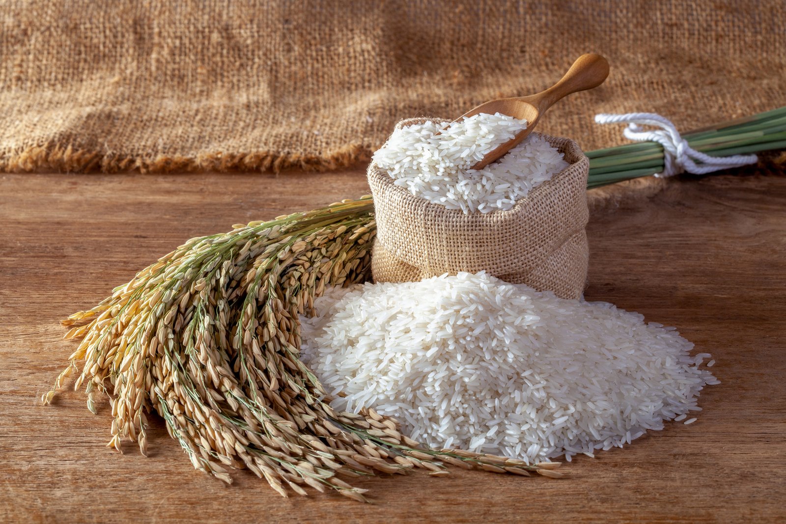 Rice
