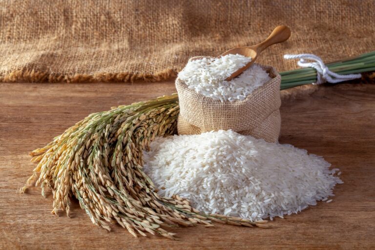 Basmati Rice